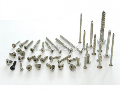 สกรูเกลียวปล่อย สแตนเลส (Screw Tapping Stainless) - โรงงานผลิตสกรูน๊อต สมุทรสาคร - ที ซี สกรูน๊อต