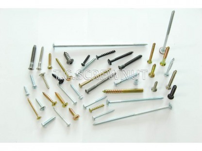 สกรูเกลียวปล่อย เหล็ก (Screw Tapping Steel) - โรงงานผลิตสกรูน๊อต สมุทรสาคร - ที ซี สกรูน๊อต