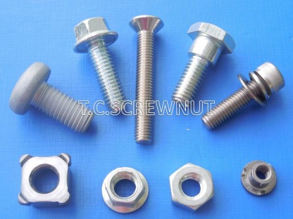 สกรูพิเศษ (Special screw 1) - โรงงานผลิตสกรูน๊อต สมุทรสาคร - ที ซี สกรูน๊อต