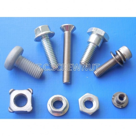 สกรูพิเศษ - Special screw 1 สกรูพิเศษ 