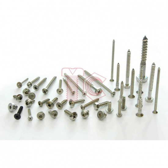 Screw Tapping Stainless - สกรูเกลียวปล่อย สแตนเลส สกรูเกลียวปล่อย สแตนเลส 